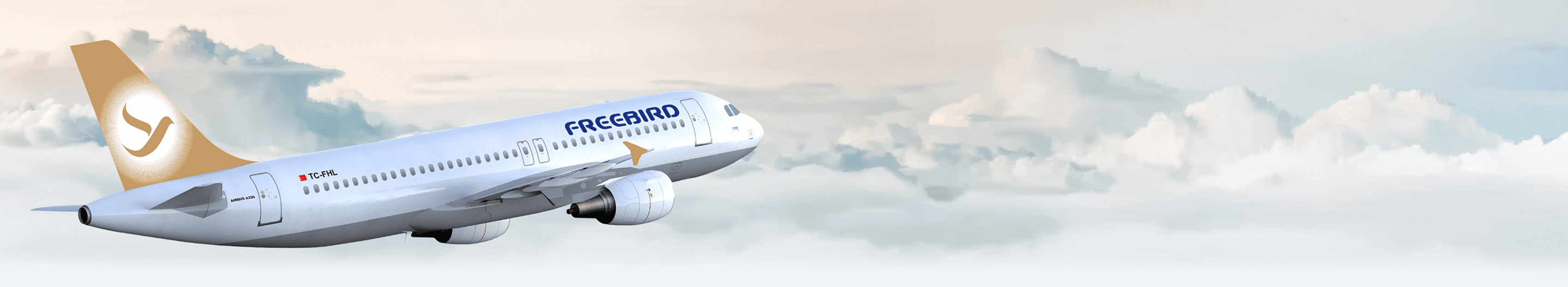 Travel with Lithium Batteries