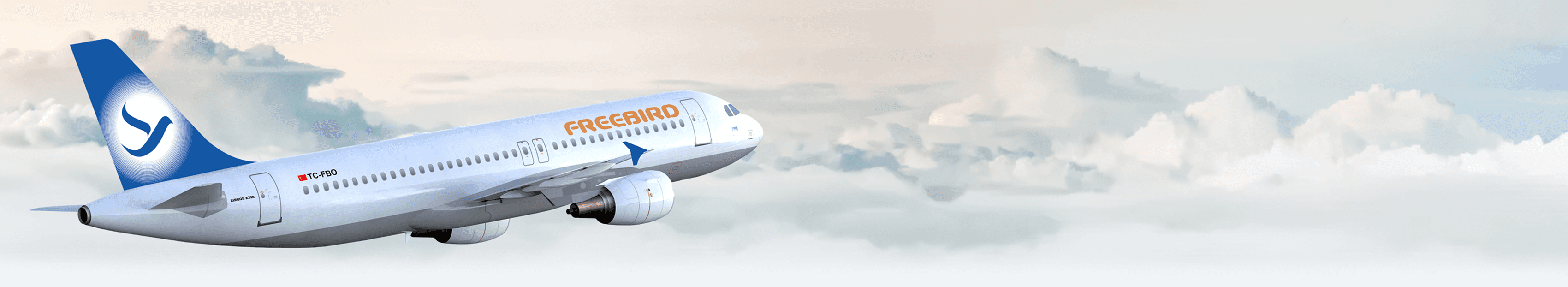 Lost, Damaged and Delayed Baggage